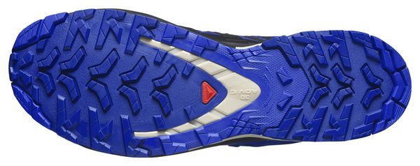 Salomon XA Pro 3D V9 Gore-Tex Trail Shoes Blue