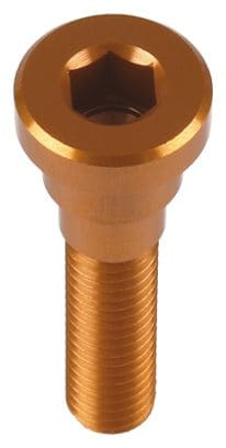 Hope Head Doctor Screw Bronze