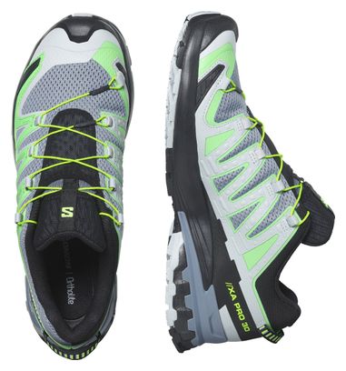 Chaussures de Trail Salomon XA Pro 3D V9 Gris/Vert