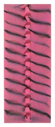 Protector de base Dyedbro Chainstay Shush Rose