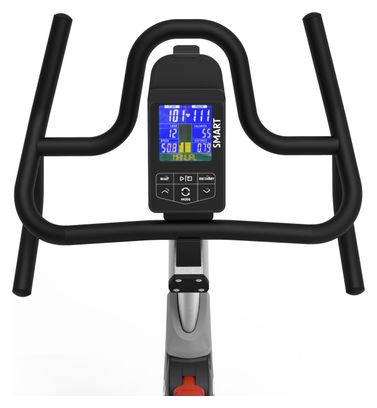 Active BIKE 350 Smart – Gris