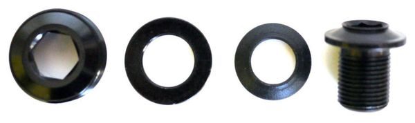RaceFace Next SL Extractor Screw Black