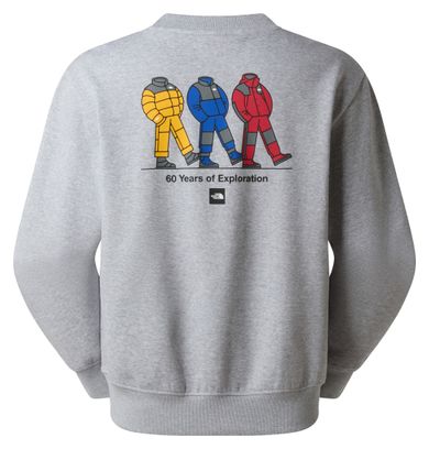 Sweat The North Face Celebration Gris Unisexe