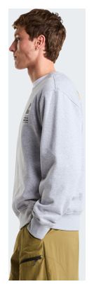 Sweat The North Face Celebration Gris Unisexe