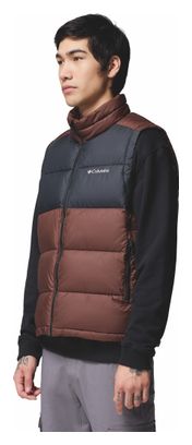 Piumino Columbia Pike Lake II Marrone Uomo senza maniche