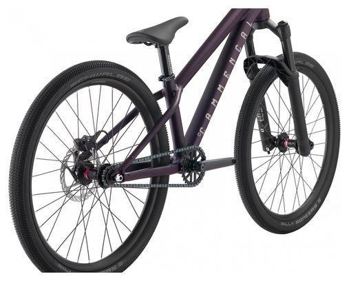 Commencal Absolut 24'' Violet