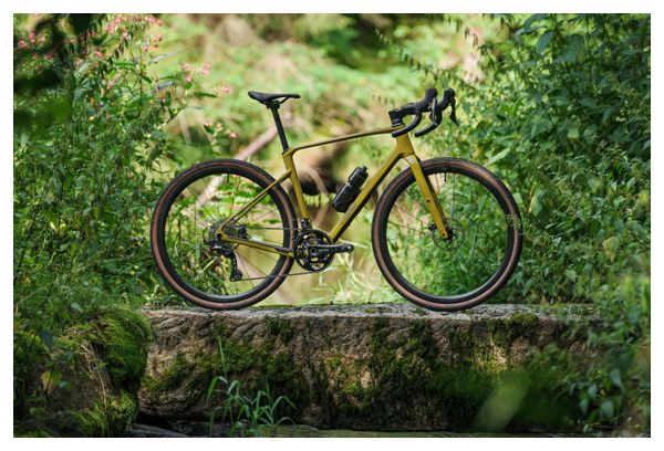 Vélo de Gravel Cube Nuroad C:62 Pro Shimano GRX 12V 700 mm Vert Willow 2025