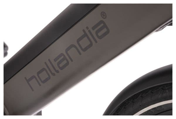 Vélo électrique homme 28  Hollandia Mantova gris