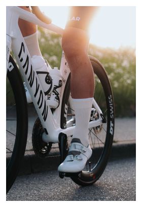 Incylence Pure Beige Socks