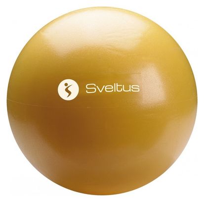 Ballon pédagogique Sveltus