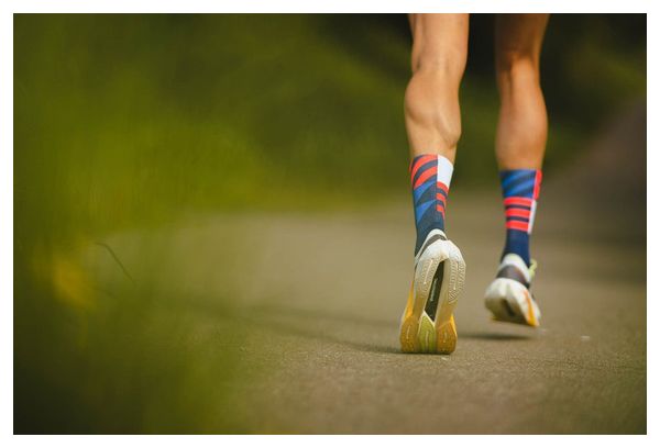 Chaussettes Incylence Elements Bleu/Rouge