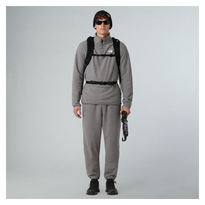 Pile The North Face Glacier 1/4 Zip Uomo Grigio