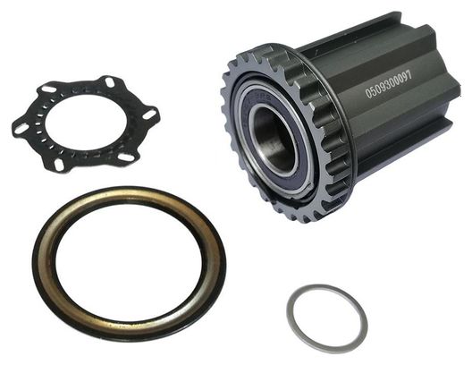 Cuerpo de buje libre RITCHEY Campy 9-10-11v V3 American Classic Style
