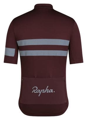 Kurzarm Trikot Rapha Brevet Jersey Braun/Silber Herren