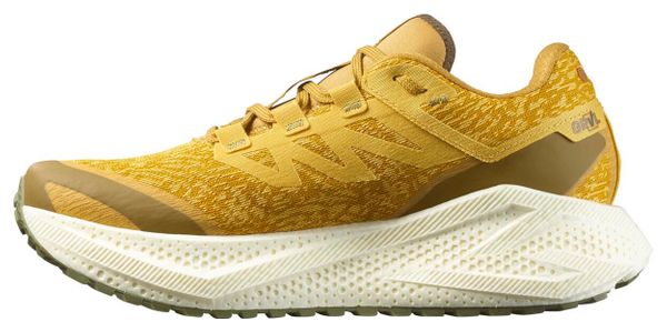 Running Shoes Salomon Aero Glide 3 GRVL Yellow Homme
