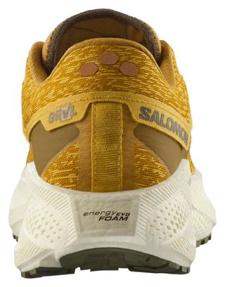 Running Shoes Salomon Aero Glide 3 GRVL Yellow Homme