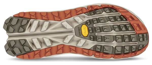 Chaussures de Randonnée Altra Olympus 6 Hike Low GTX Marron Homme