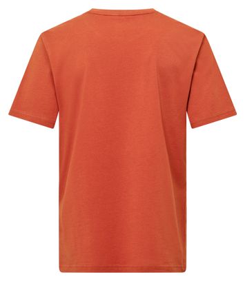 T-Shirt Homme Salewa Eagle Cover Marron