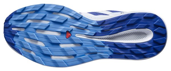 Chaussures de Trail Salomon Pulsar Trail Bleu/Gris