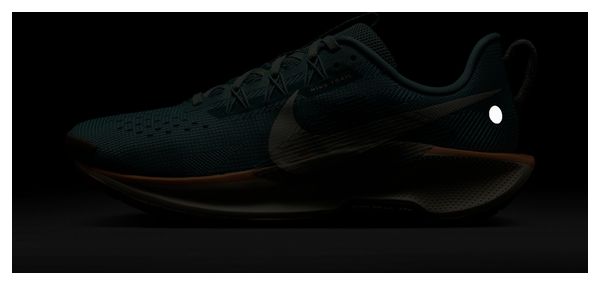 Nike Pegasus Trail 5 Blue/Coral Women's Trail Running Shoes