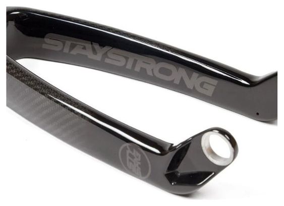 Fourche Avian Stay Strong 20 Tapered 20mm Noir brillant