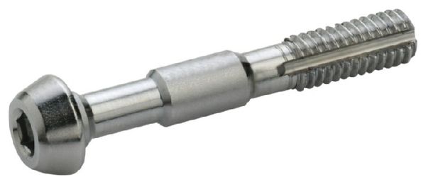 Banjo Elved Schroeven voor Shimano BR-M985 Remklauw (x2)