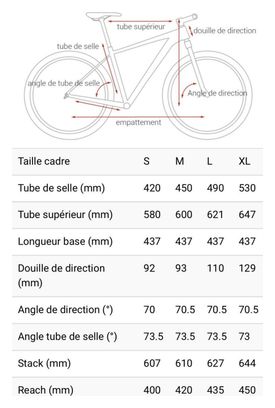 VTT Semi-Rigide Wilier Triestina 101X Shimano Deore/XT 12V 29