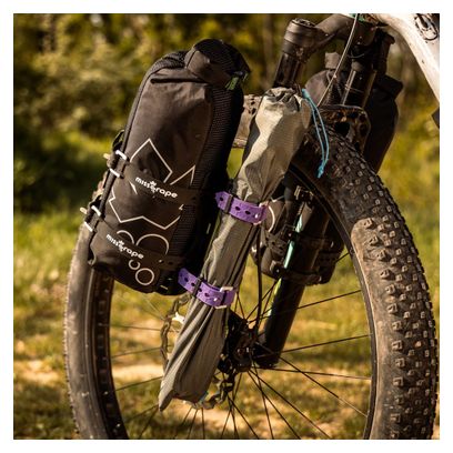 Miss Grape Orecchietta Carrier Black