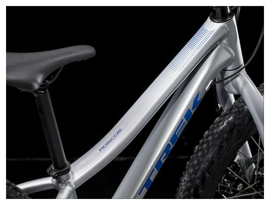 Trek Roscoe 20 Youth MTB Shimano 8s 20'' Grey