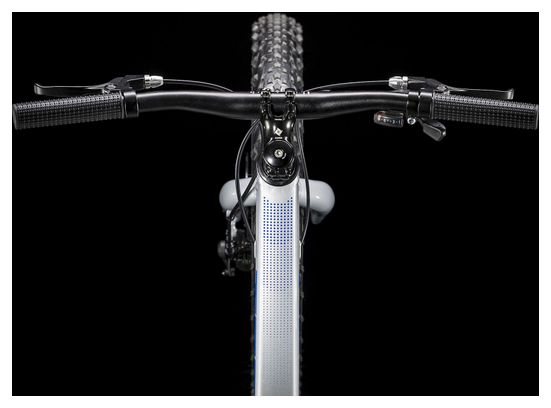 Trek Roscoe 20 Youth MTB Shimano 8s 20'' Grey