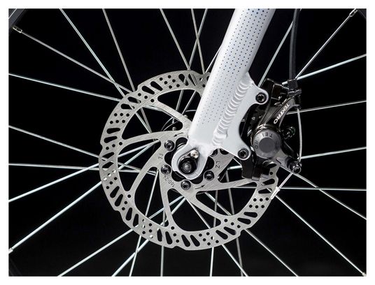 Trek Roscoe 20 Youth MTB Shimano 8s 20'' Grey