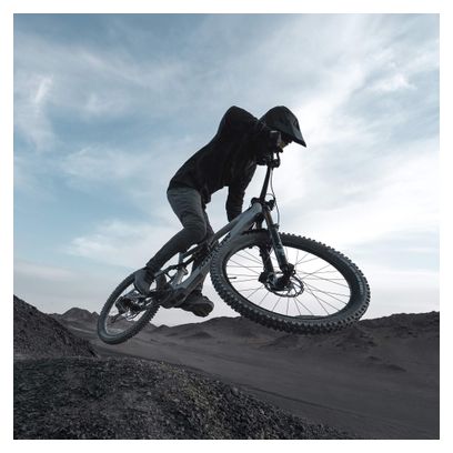 Amflow PX Carbon Pro 12V 700 Wh DJI 150 Nm 29''/27.5'' Full-Suspension Electric Mountain Bike, Gray, 2026