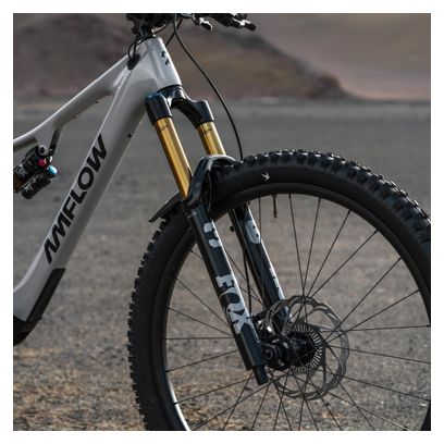 Amflow PX Carbon Pro 12V 700 Wh DJI 150 Nm 29''/27.5'' Full-Suspension Electric Mountain Bike, Gray, 2026