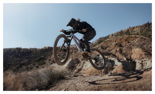 Amflow PX Carbon Pro 12V 700 Wh DJI 150 Nm 29''/27.5'' Full-Suspension Electric Mountain Bike, Gray, 2026