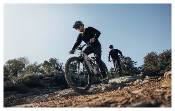 Amflow PX Carbon Pro 12V 700 Wh DJI 150 Nm 29''/27.5'' Full-Suspension Electric Mountain Bike, Gray, 2026