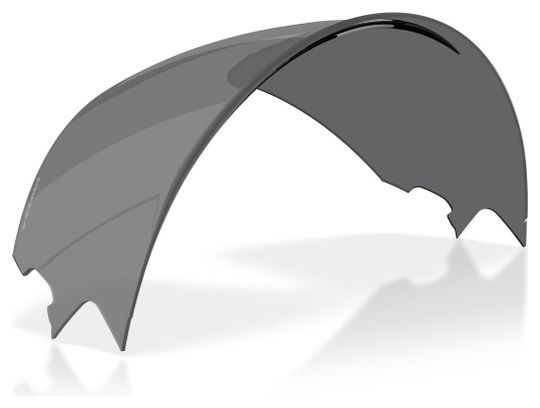 Oakley Meta Vanguard Prizm Black Replacement Lenses