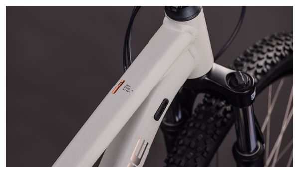 Cube Aim Pro Hardtail MTB Shimano 10S 29'' Greige Grey Beige 2026