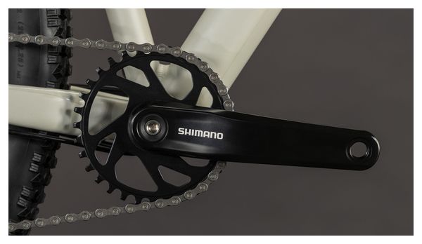 Cube Aim Pro Hardtail MTB Shimano 10S 29'' Greige Grey Beige 2026