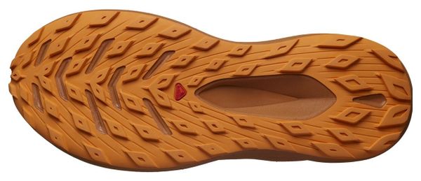 Chaussures de Trail Salomon Glide Max TR Noir / Orange