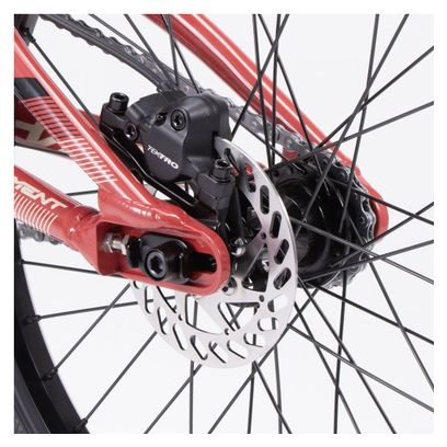 BMX Race Chase Element Pro XXL Red 2024