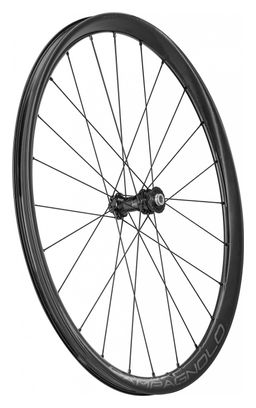 Campagnolo Levante 700 mm Wielset | 12x100 - 12x142 mm | Center Lock | 2022