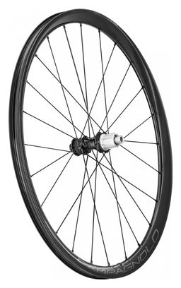 Campagnolo Levante 700 mm Wielset | 12x100 - 12x142 mm | Center Lock | 2022
