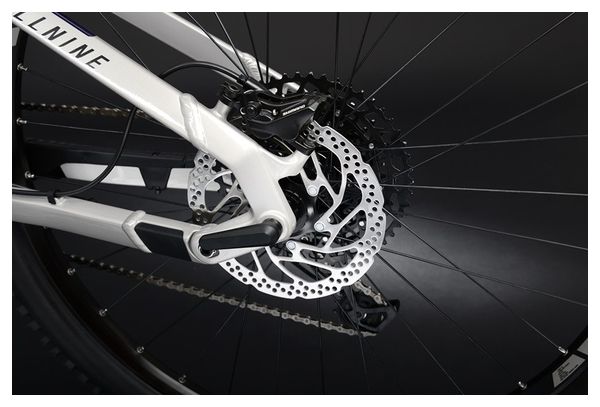 Haibike FullNine 7 Electric Full Suspension MTB 29 '' 630 Wh Sram NX 12V Platinum / Anthracite Gray 2021