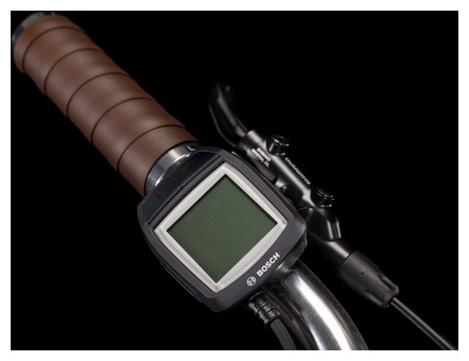 Cube Ella Cruise Hybrid 500 Easy Entry Electric City Bike Shimano Nexus 7S 500 Wh 700 mm Pearly Silver 2022