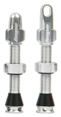 Hope Silver Tubeless Valve Pair