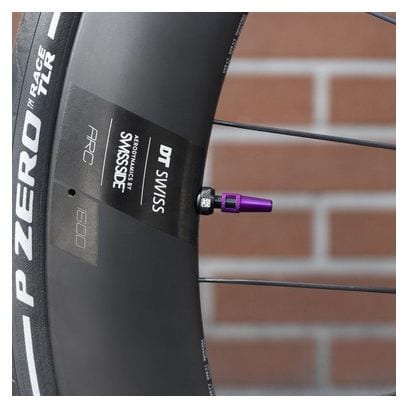 Coppia di valvole tubeless Dynamic Barkeeper 100 mm