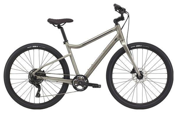 Cannondale Treadwell 2 Ltd MicroSHIFT Advent 9V 650b Grey Raw City Bike