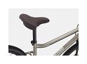 Cannondale Treadwell 2 Ltd MicroSHIFT Advent 9V 650b Grey Raw City Bike