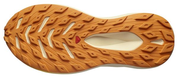 Chaussures de Trail Salomon Glide Max TR Beige / Orange Femme