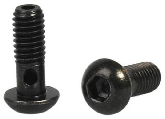 Viti Banjo Elvedes M6 x 1 (x2)
